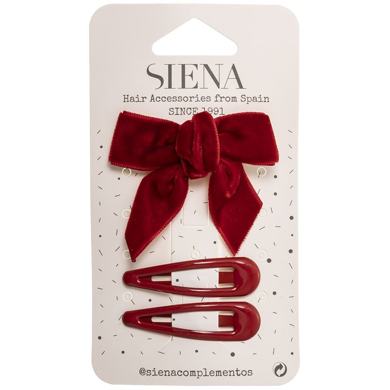 Velvet Hair Bow and Clips (2x)
