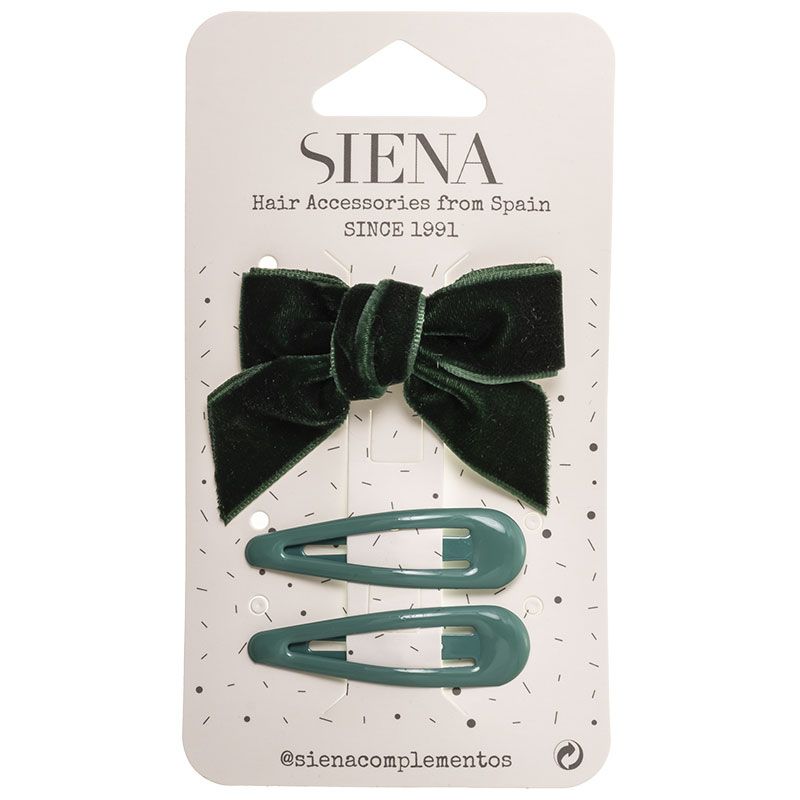 Velvet Hair Bow and Clips (2x)