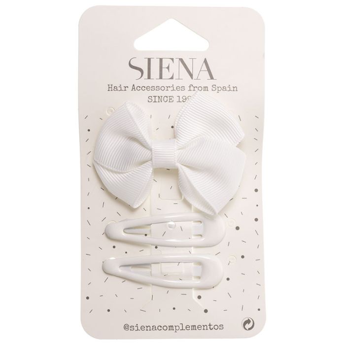 Grosgrain Bow & a pair of snap clips
