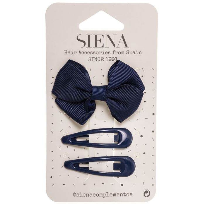 Grosgrain Bow & a pair of snap clips