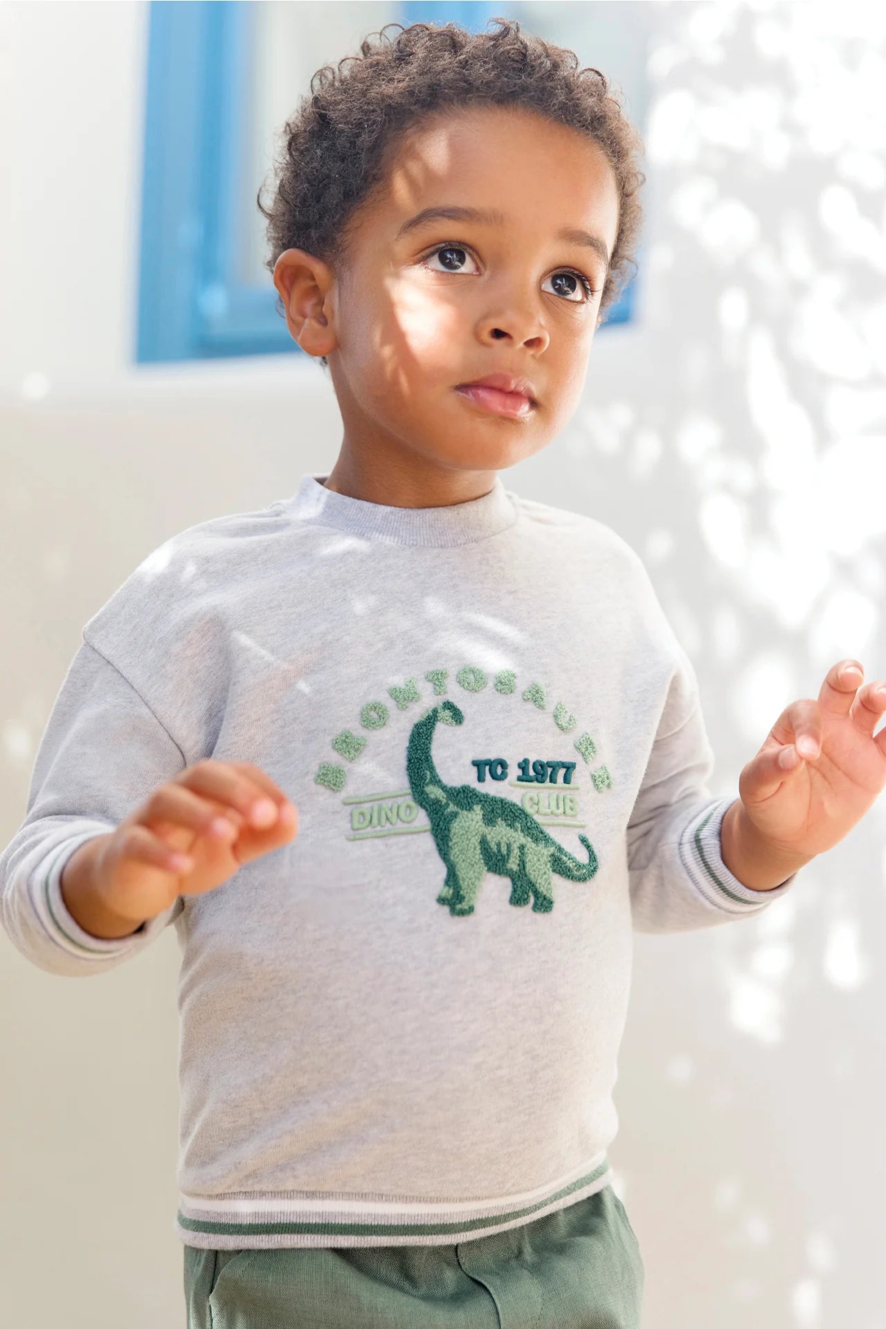 Sweatshirt – Dino-Illustration