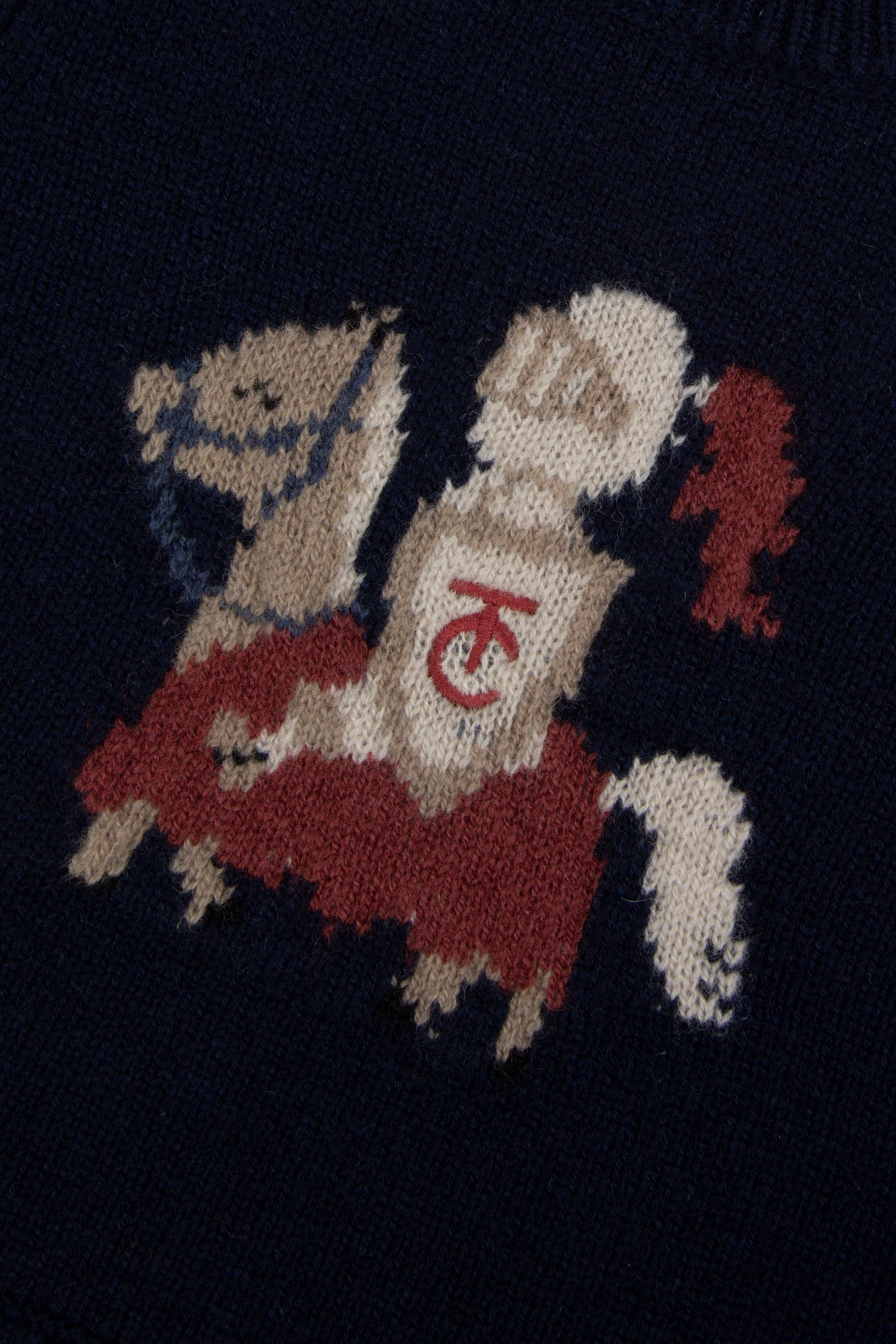 Sweater - Baby Petit Knight Marine Marine / 6M