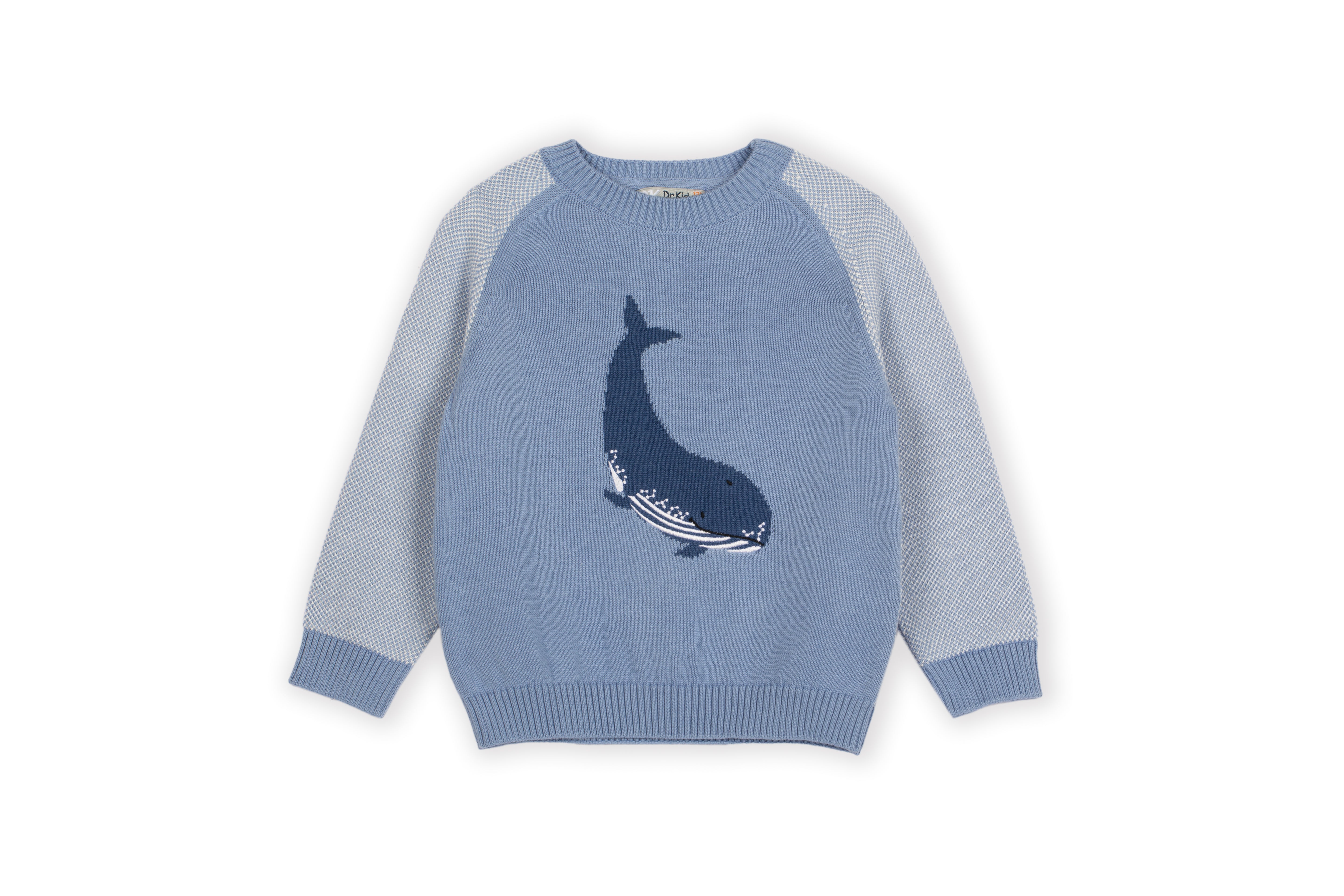 Jumper - Blue Whale