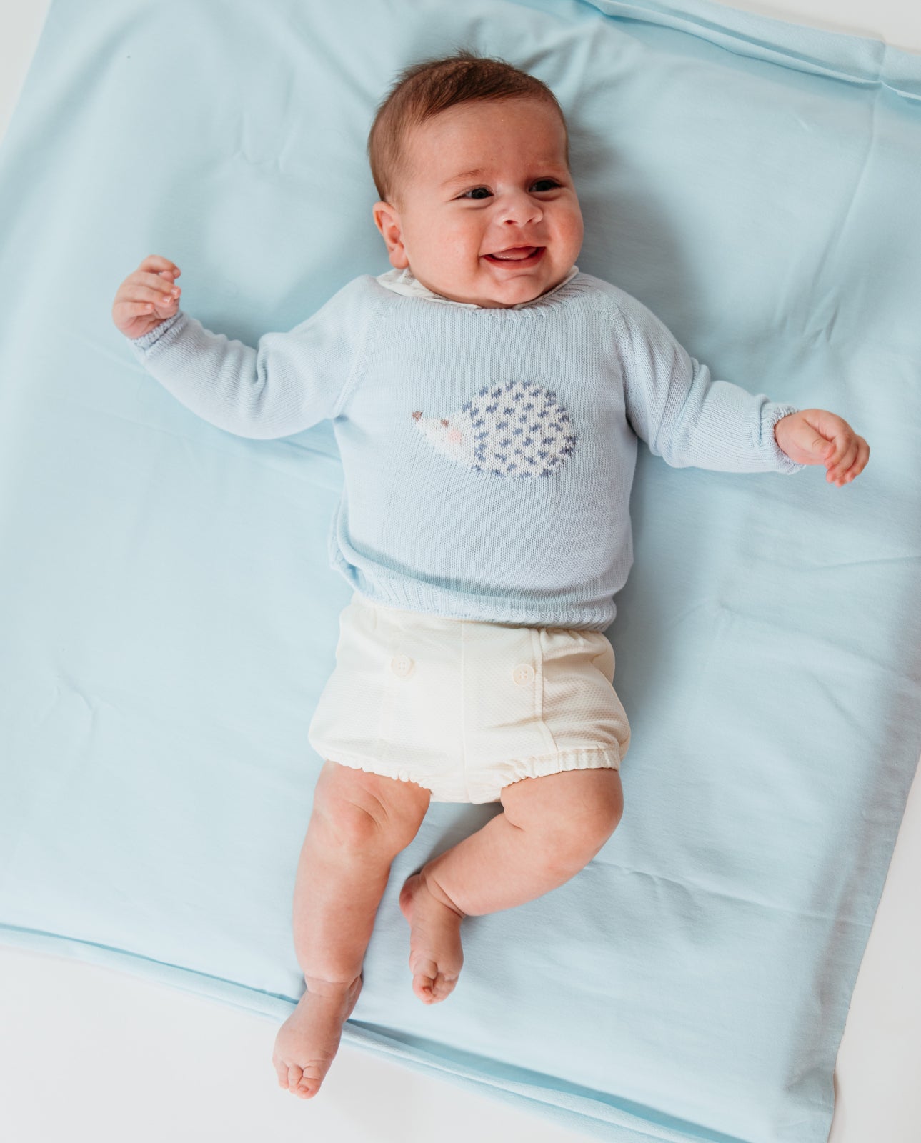 Sweater - Baby Blue Hedgehog