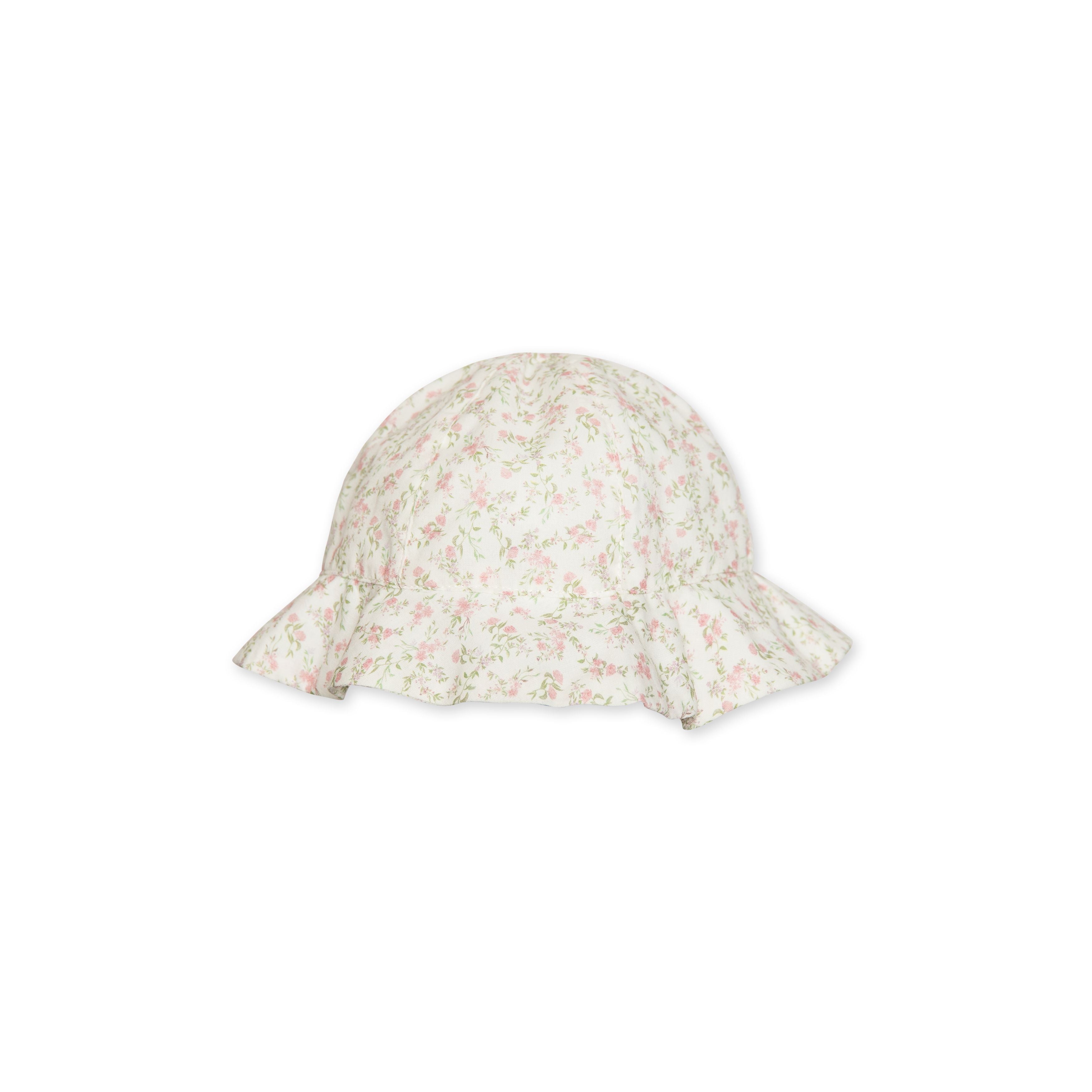 Sonnenhut – Prärieblumen