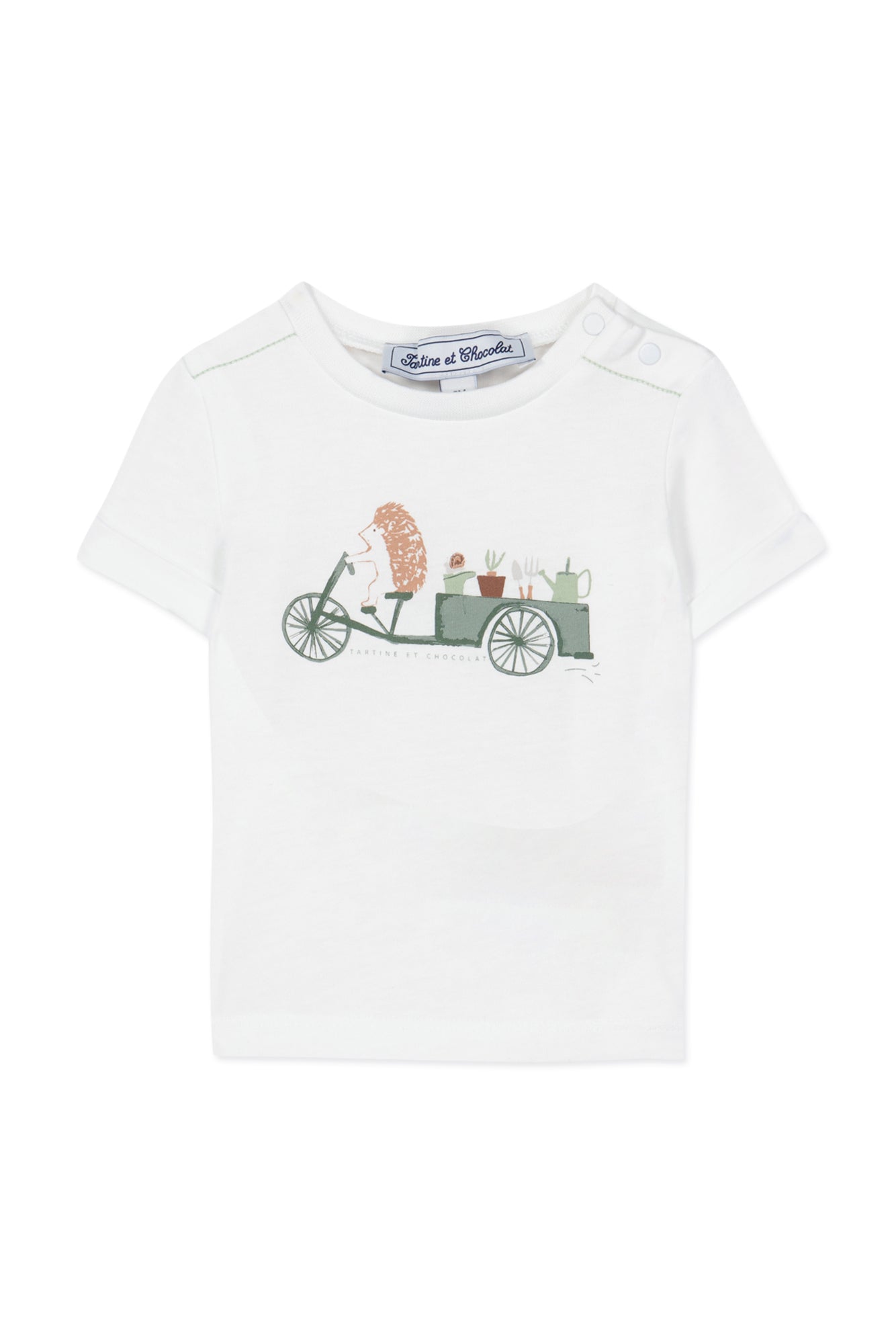 T-shirt - Green Illustration Garden hedgehog Green Water / 9M