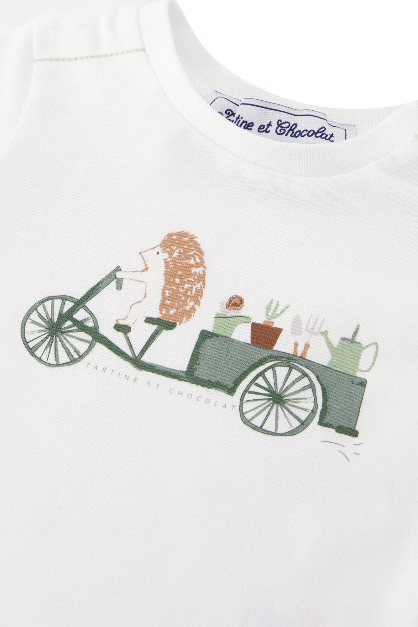 T-shirt - Green Illustration Garden hedgehog Green Water / 9M