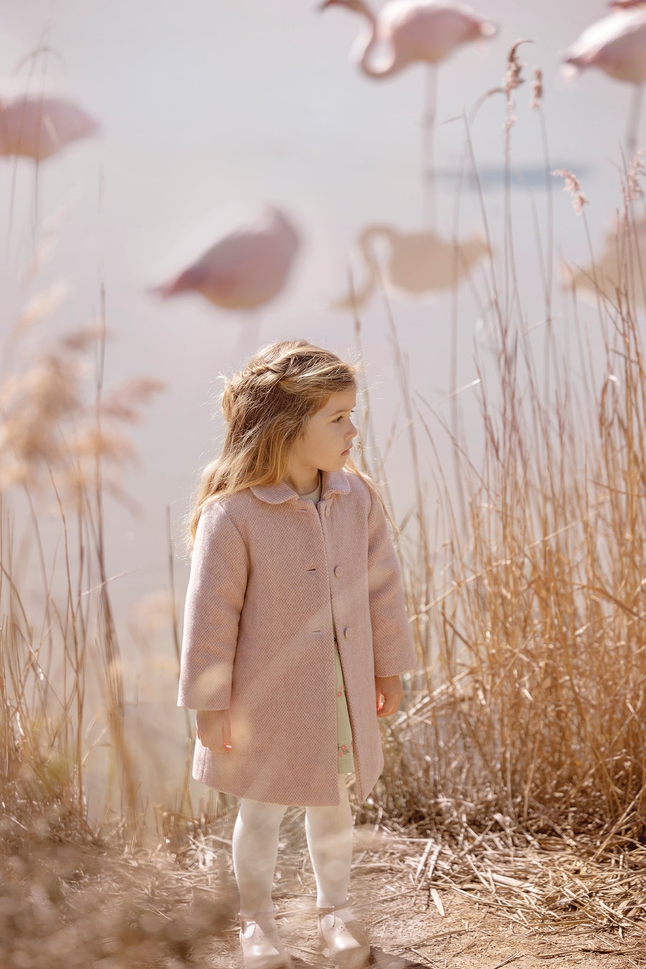 Coat - Pink Ancient Old Rose / 2Y