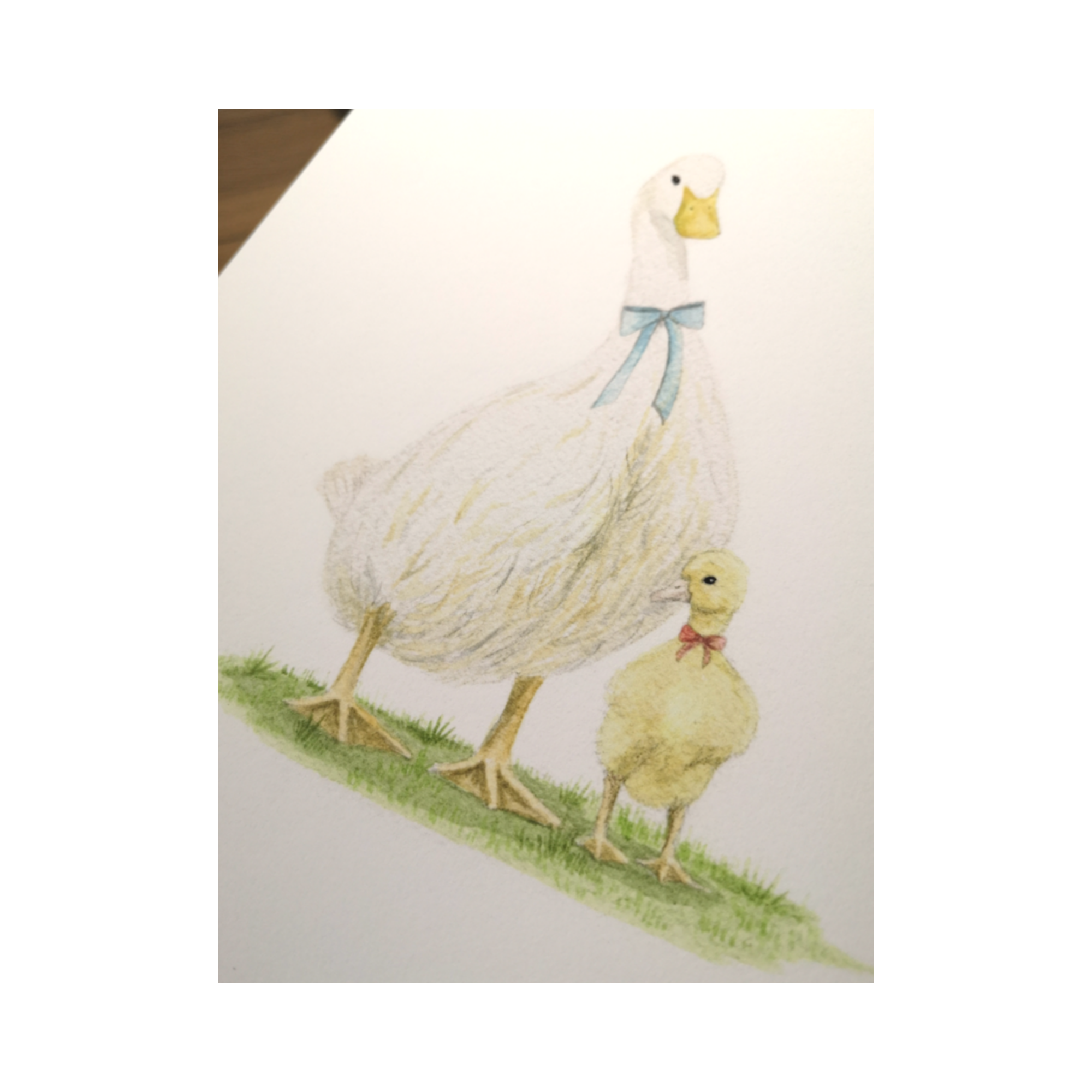 Duck & Duckling - Over The Moon