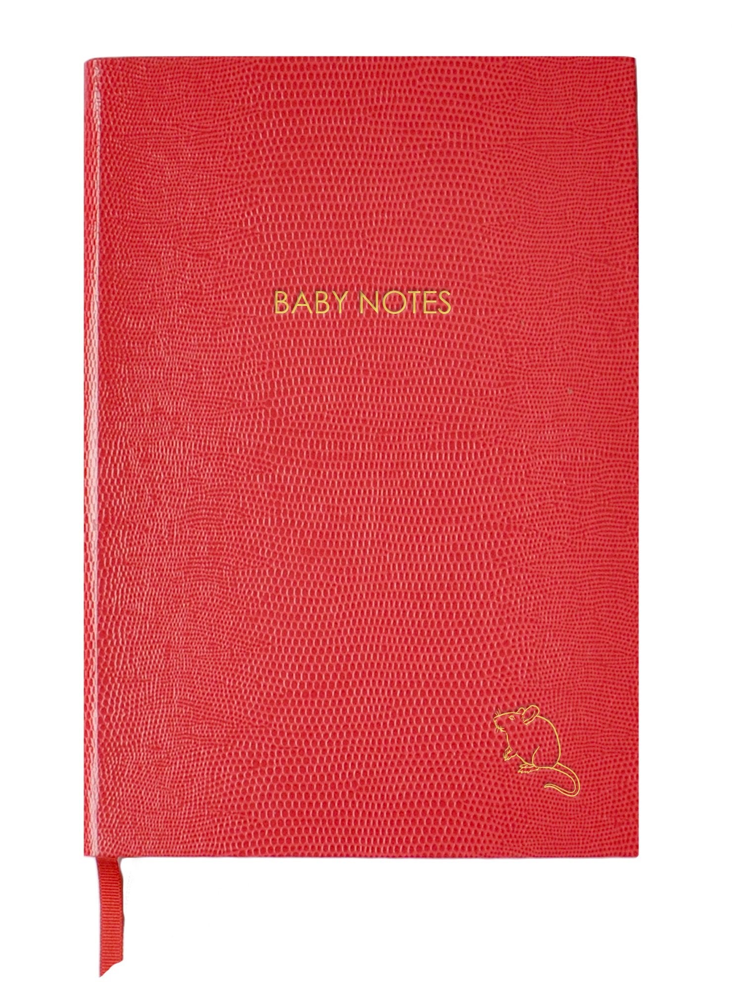 A5 Notebook - Baby Notes - Sloane Stationary