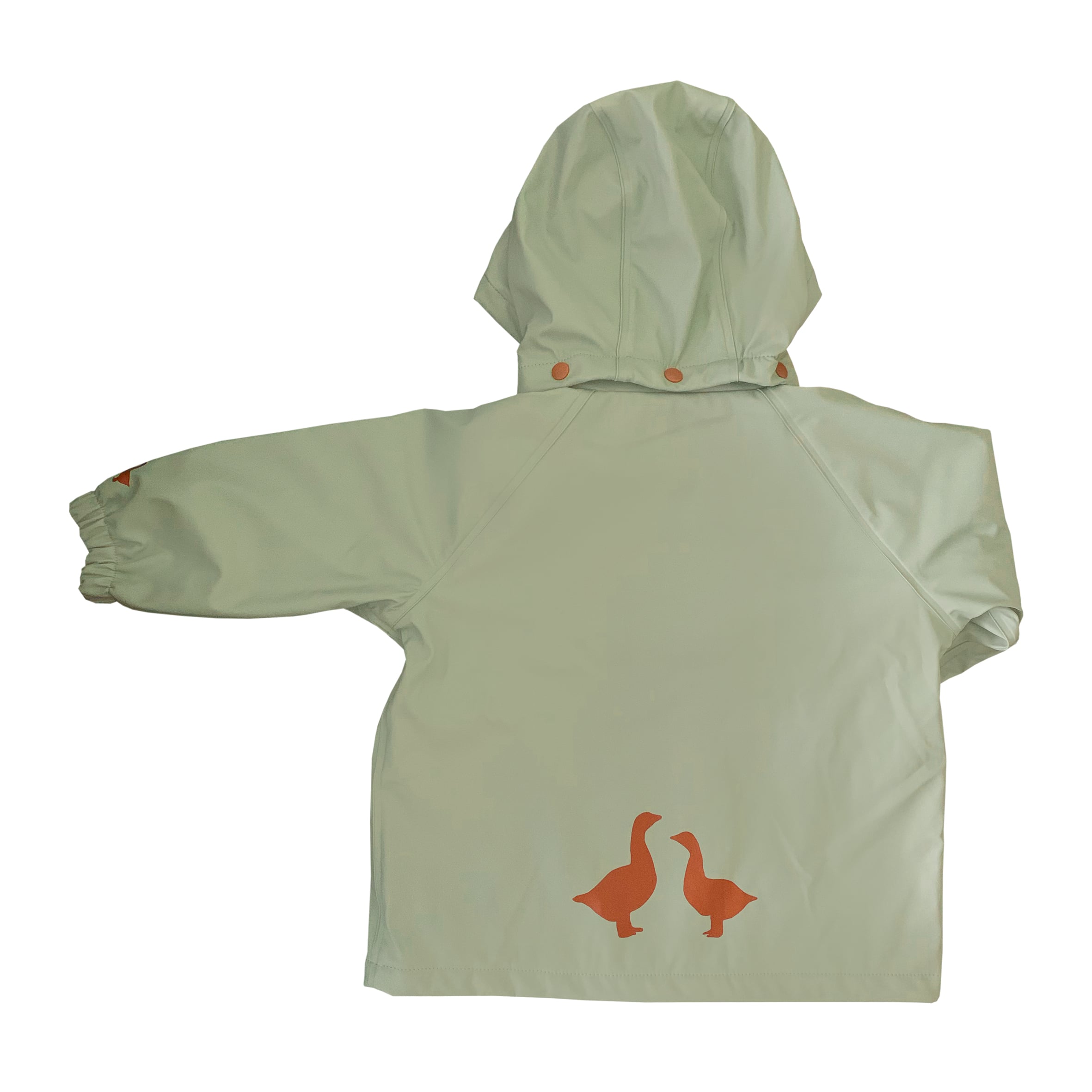 Fog Green Raincoat - Goose & Gander