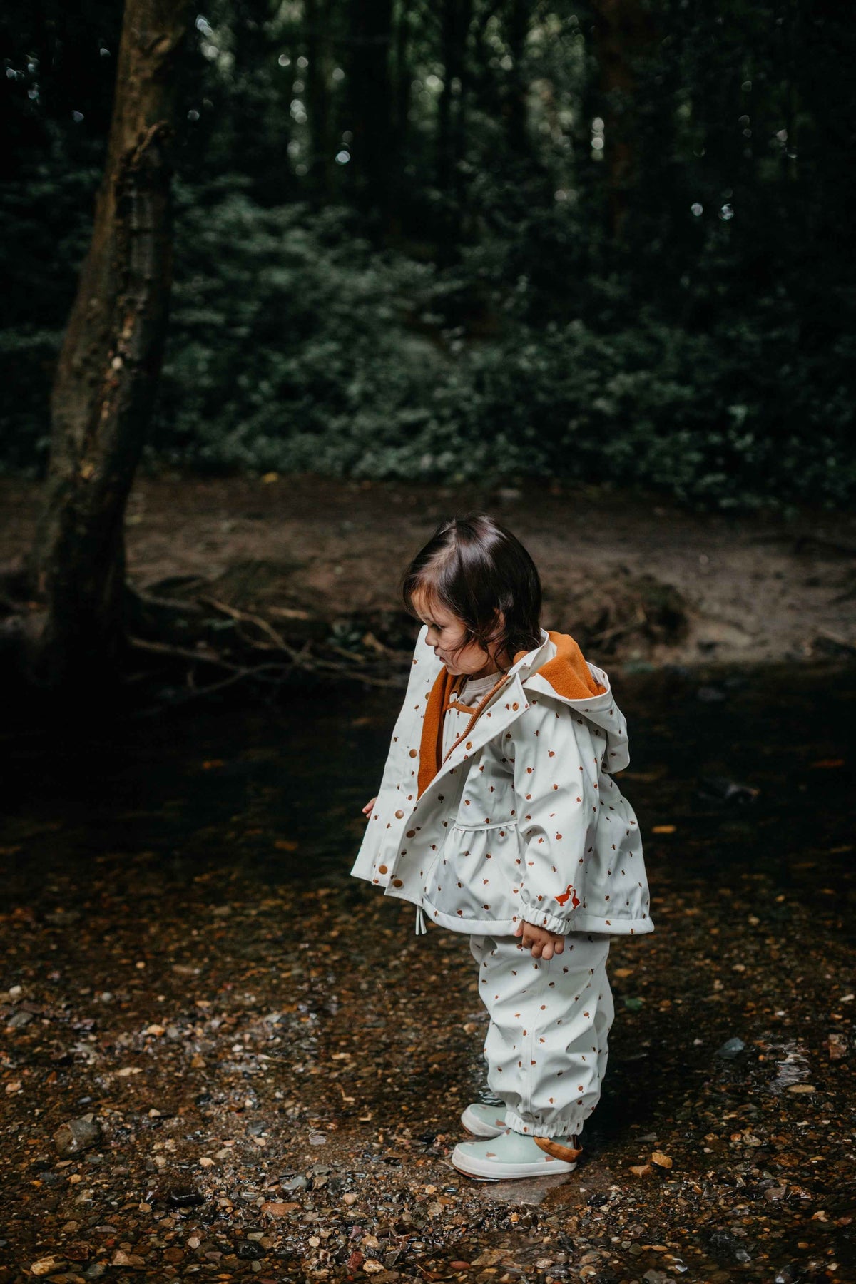 Acorn Print Raincoat - Over The Moon