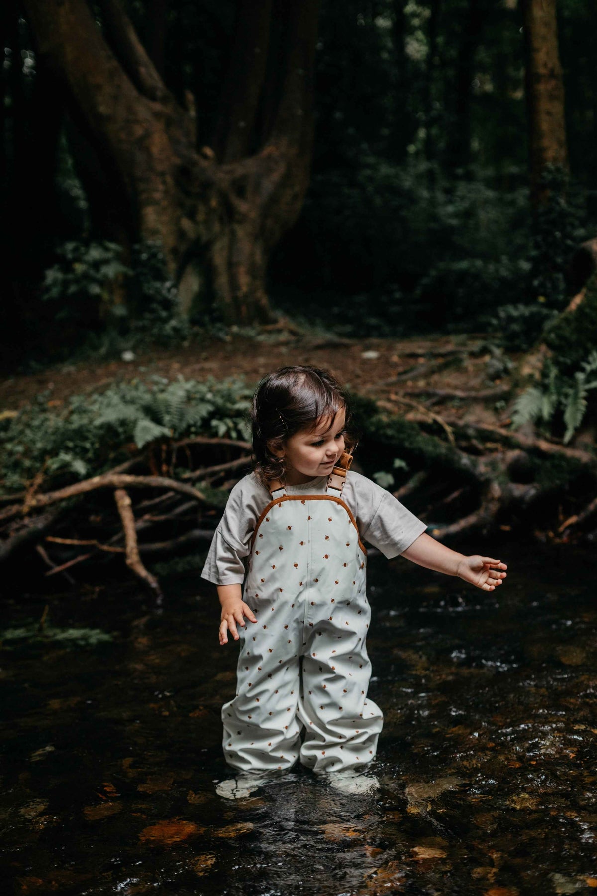 Acorn Print Overalls - Over The Moon