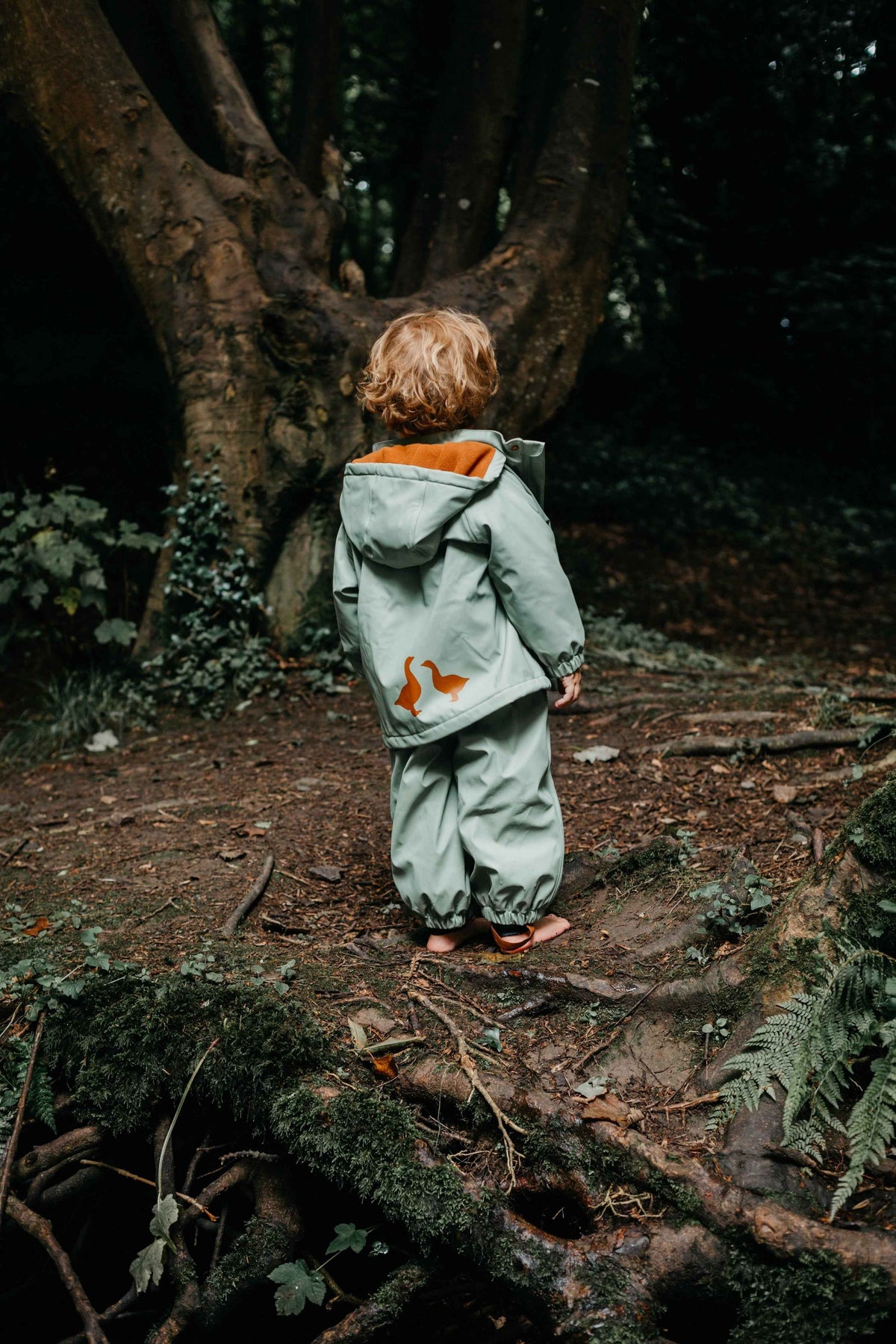 Fog Green Raincoat - Over The Moon