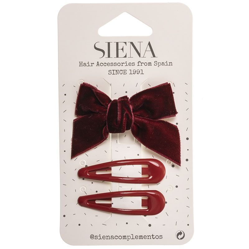 Velvet Hair Bow and Clips (2x)