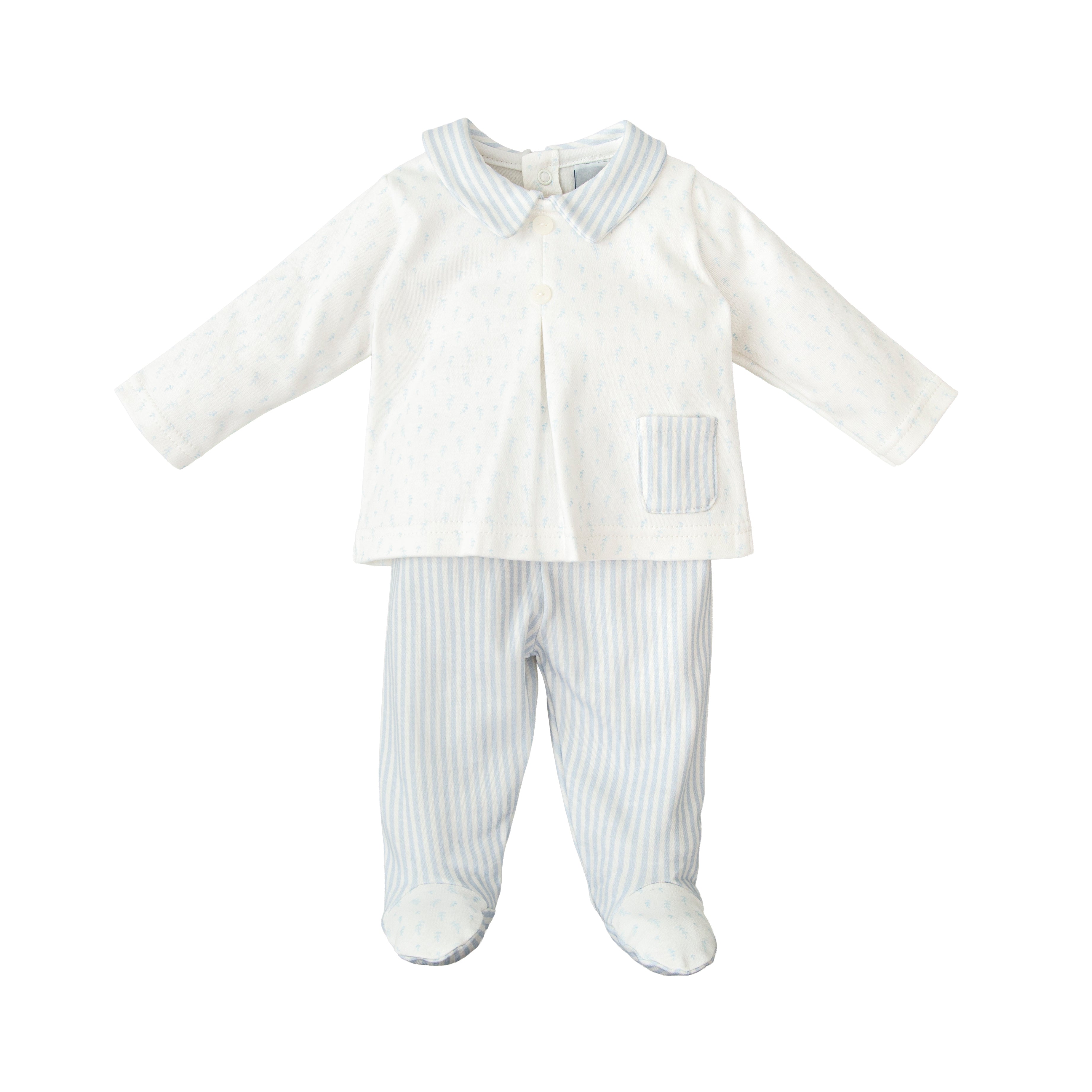 Two-Piece Set - Blue Ferns