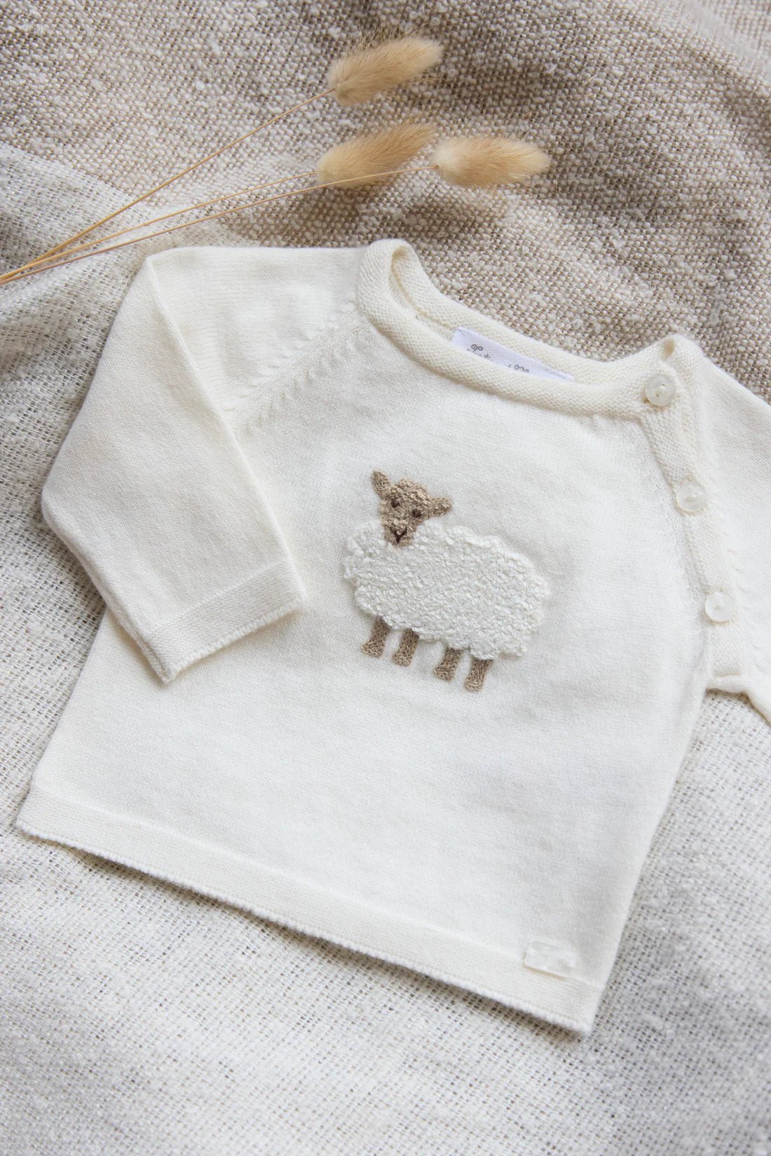 Pullover – Baumwolle/Kaschmir Schaf Elfenbein