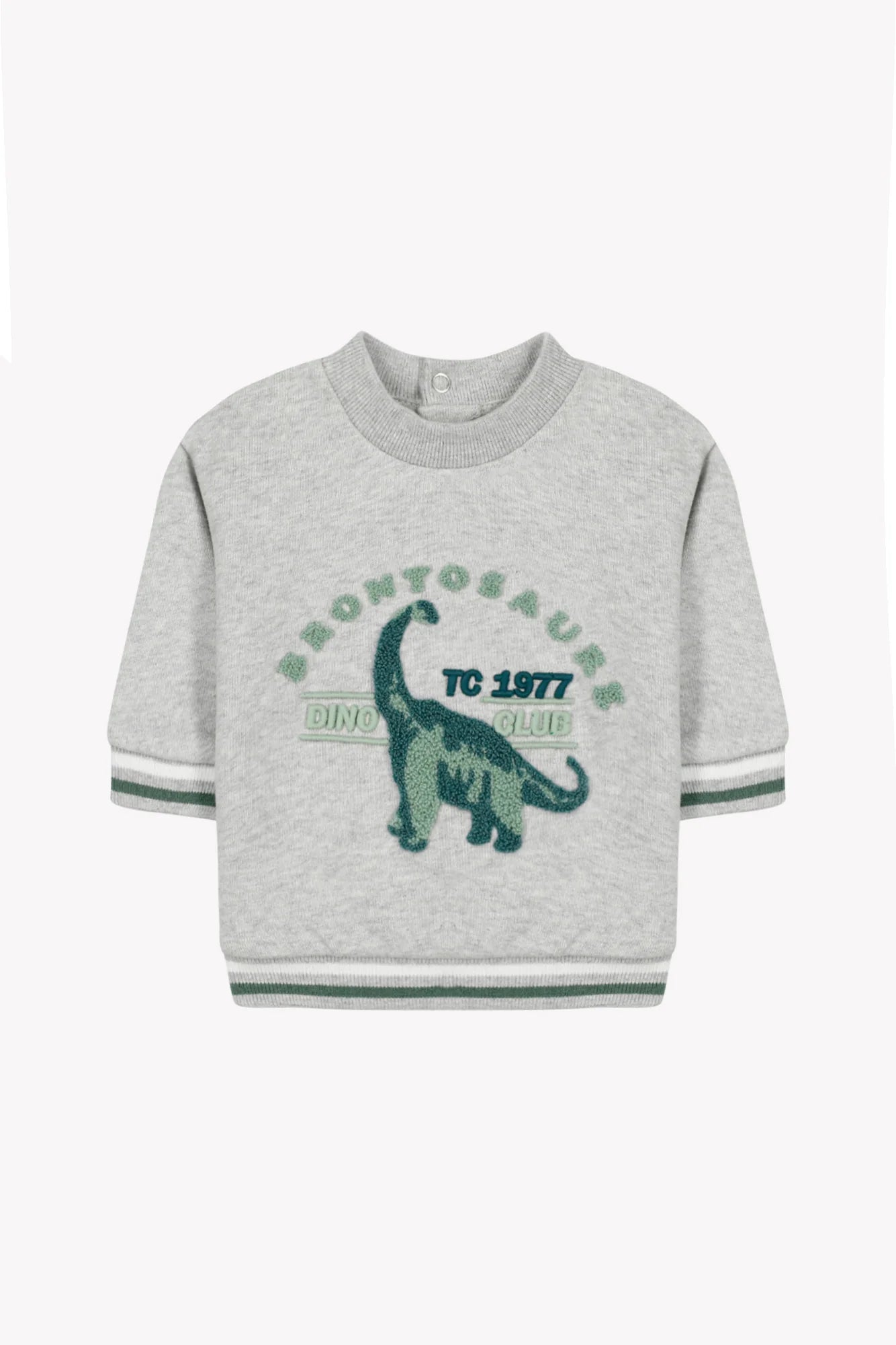 Sweatshirt – Dino-Illustration