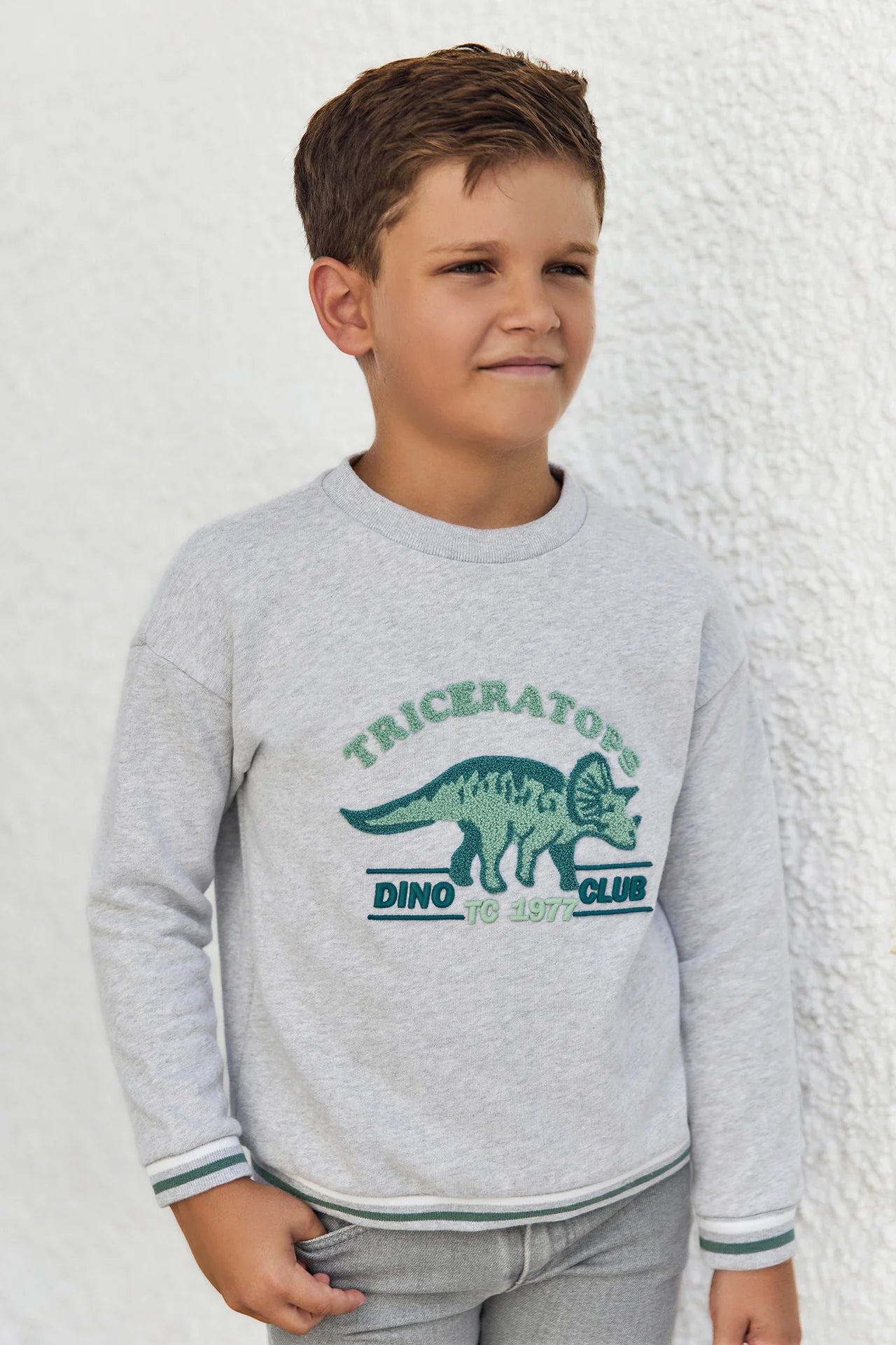 Sweatshirt - Heather Grey Dino Club