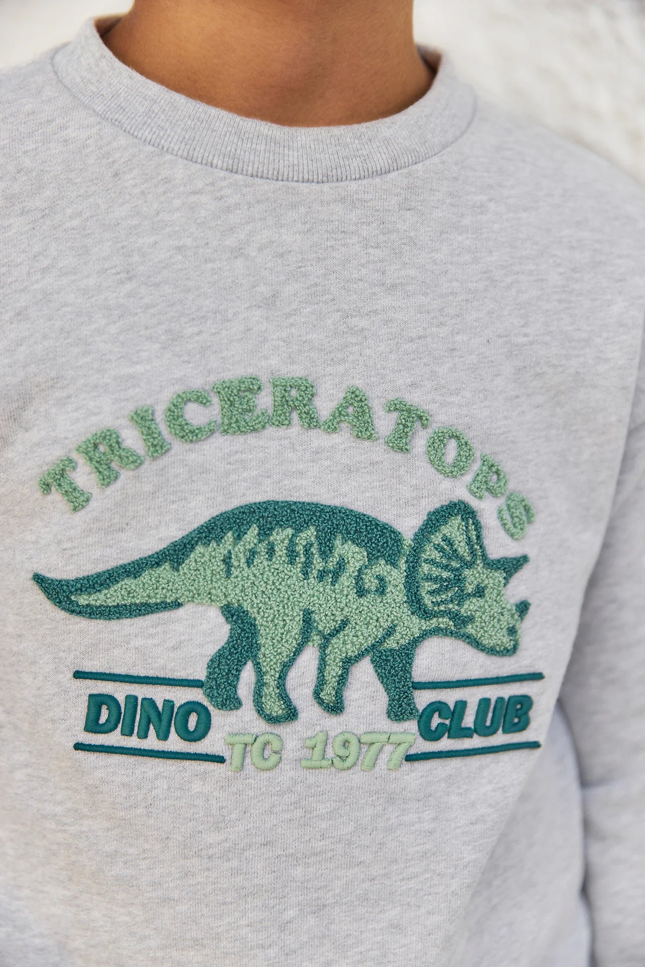 Sweatshirt - Heather Grey Dino Club