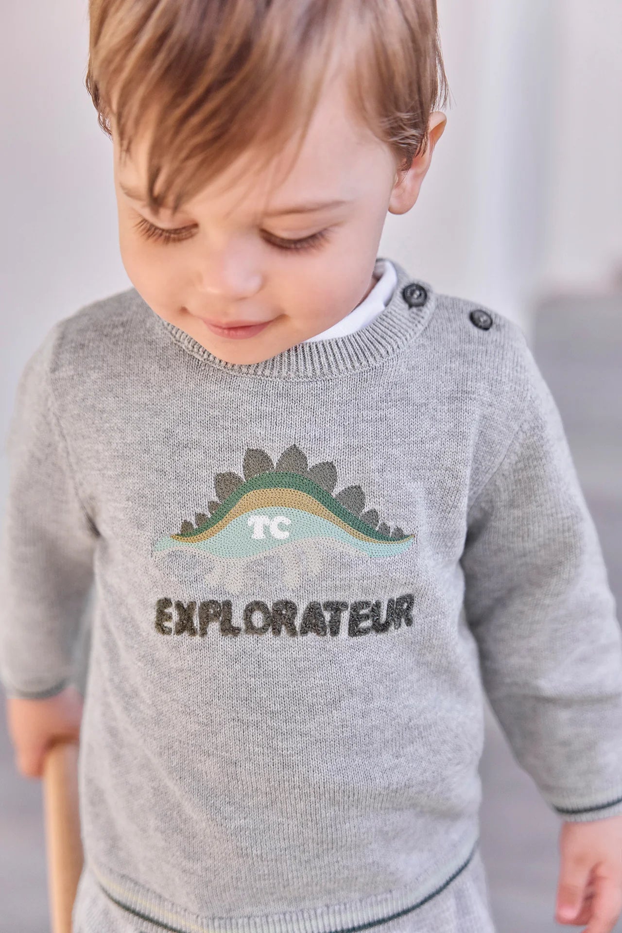 Jumper - Dino Explorer Illustration