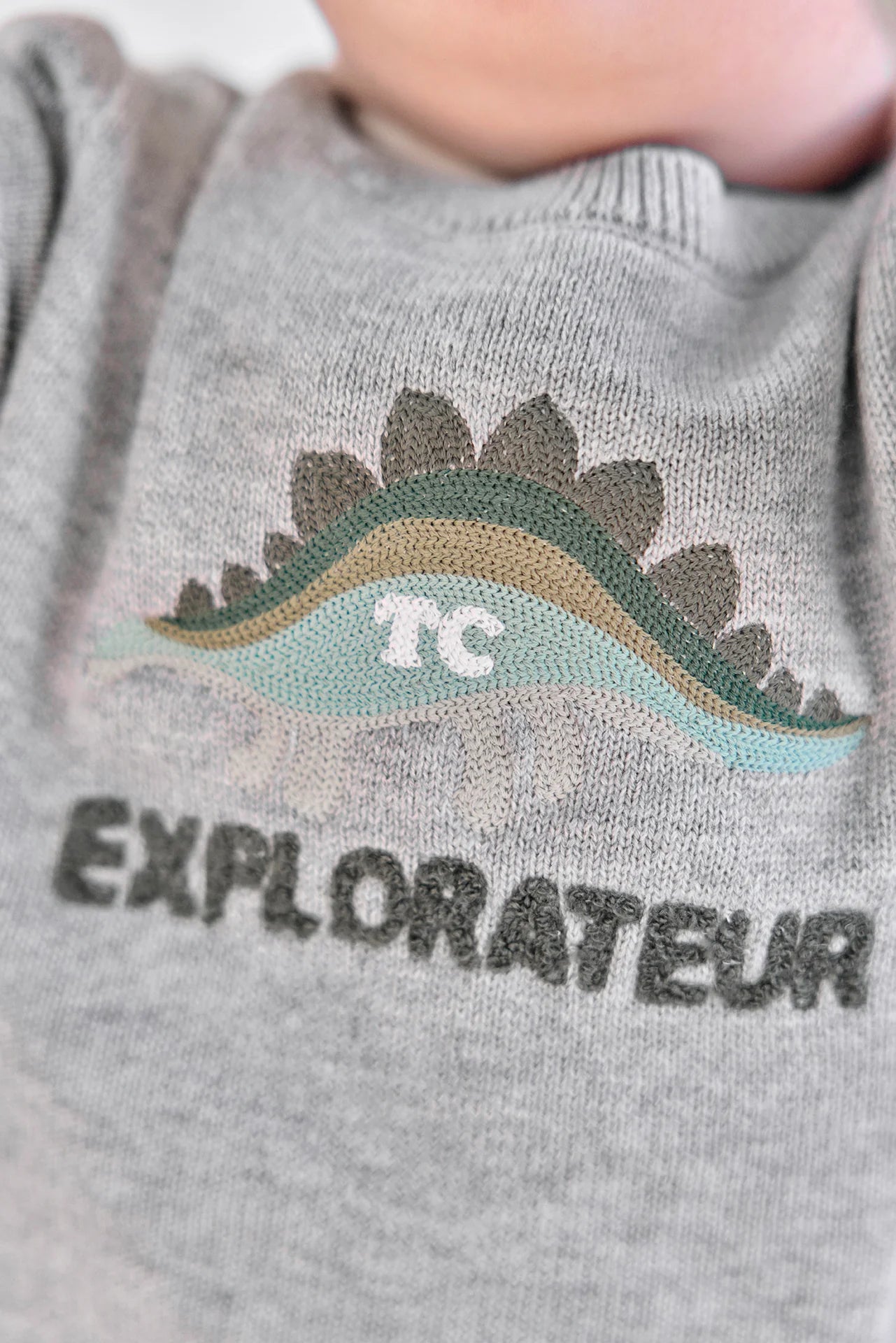 Jumper - Dino Explorer Illustration