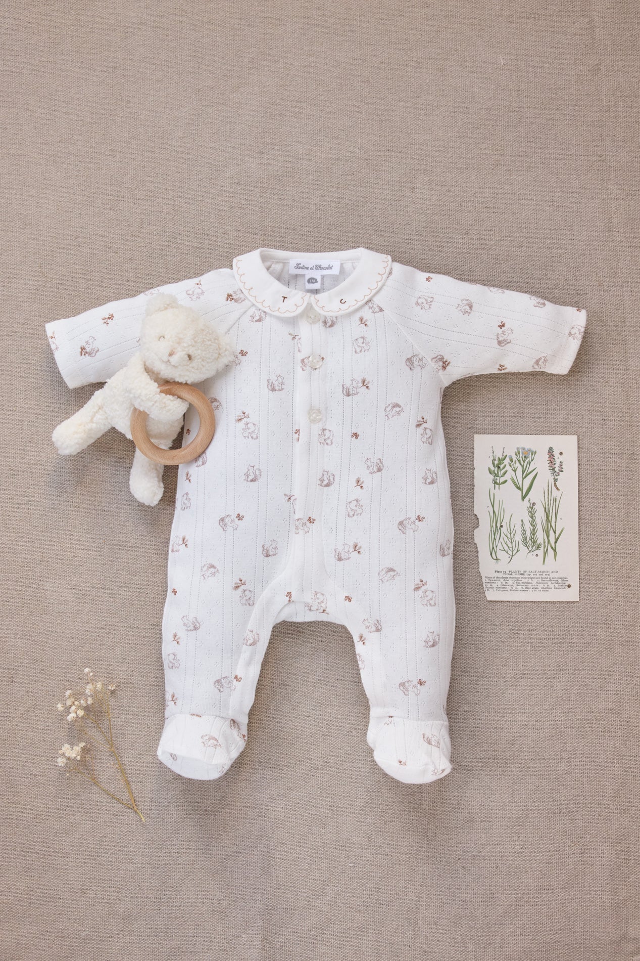 Babygrow - Ecru Squirrel