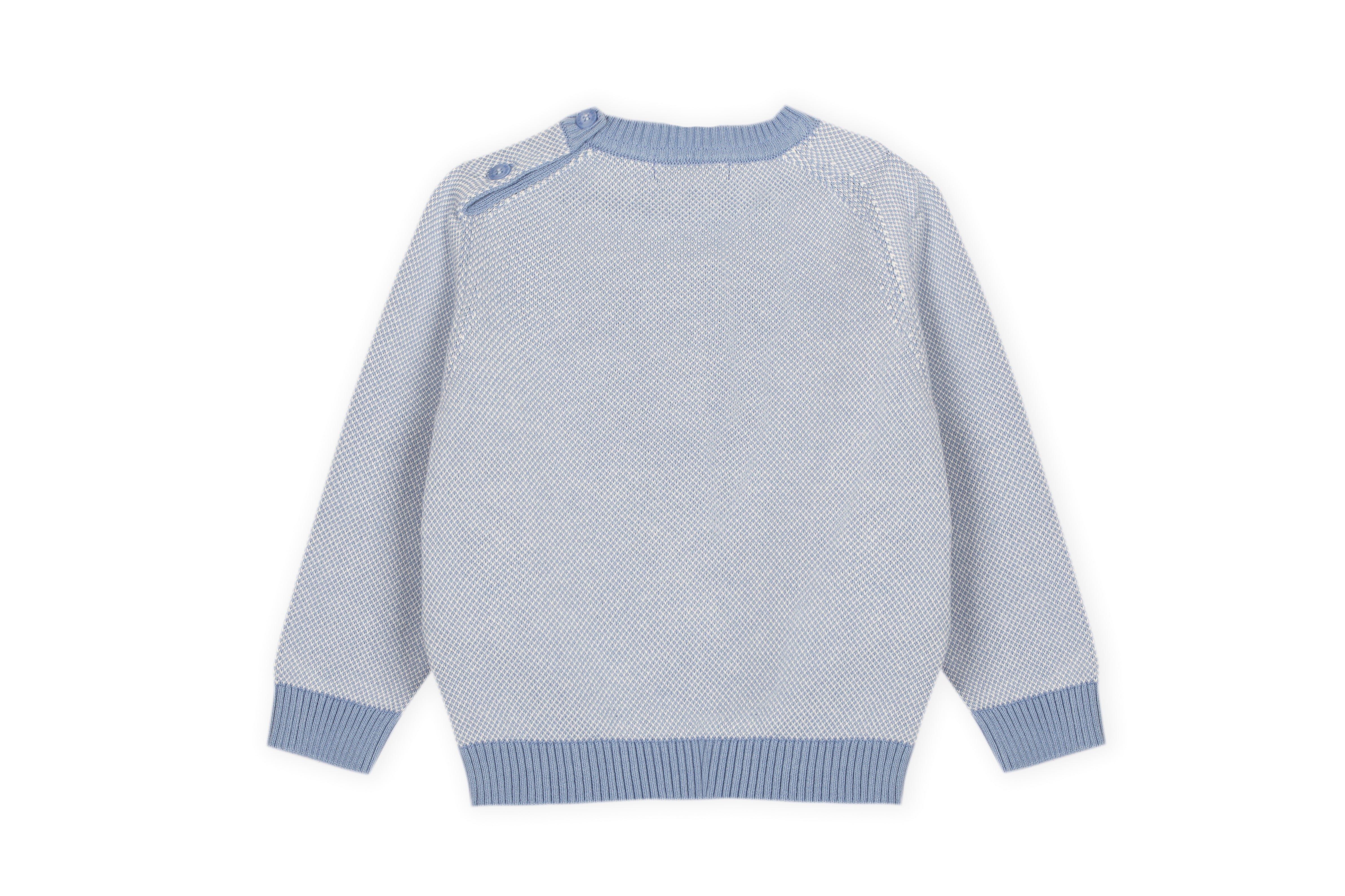 Jumper - Blue Whale