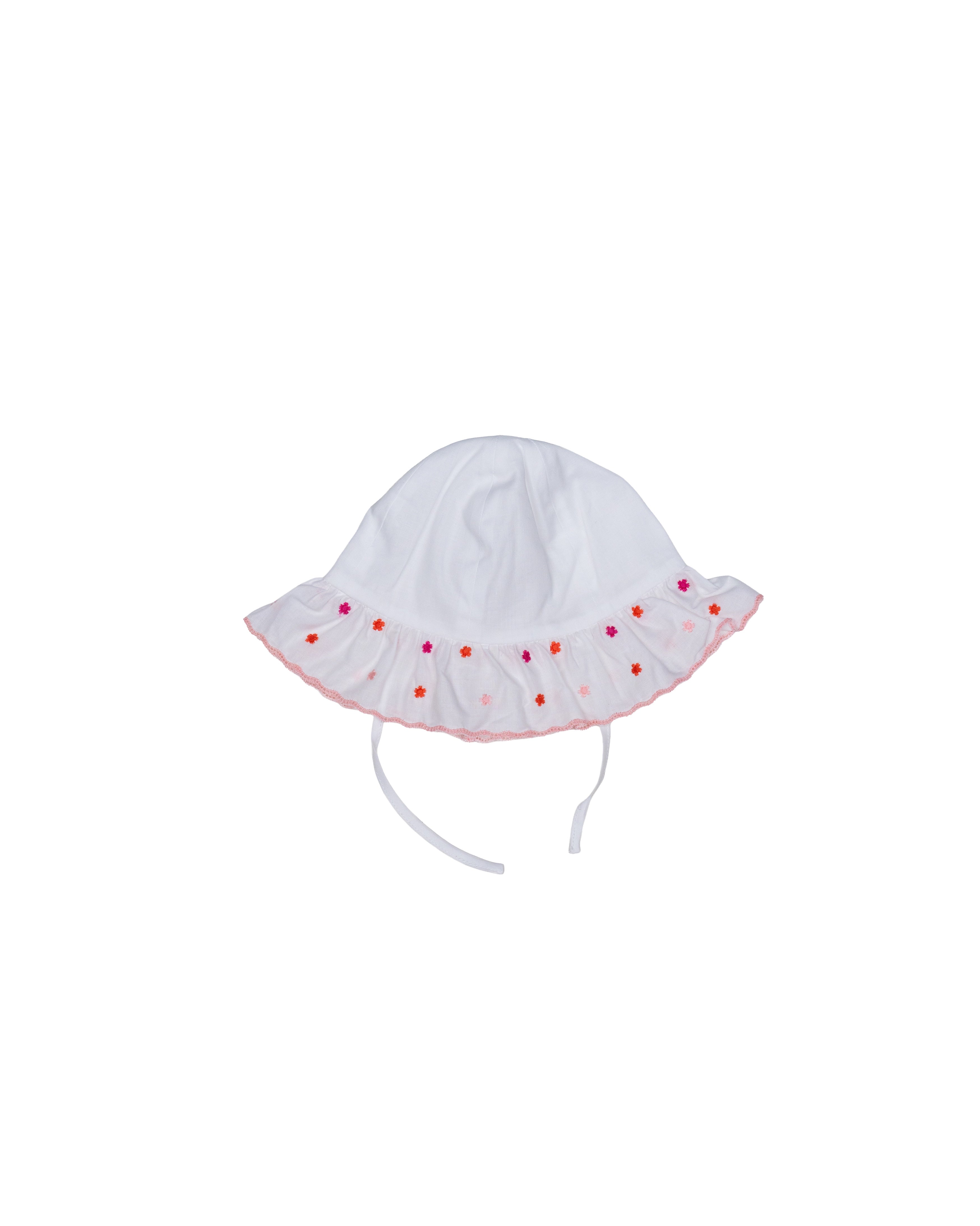 Sonnenhut - Pink & Korallenfarbene Blumen