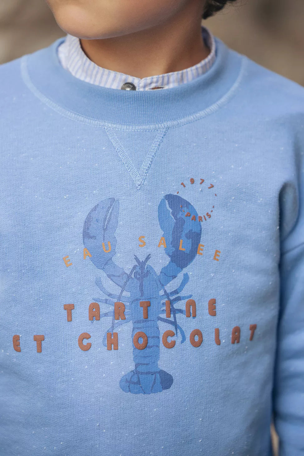 Sweatshirt - Blue Lobster