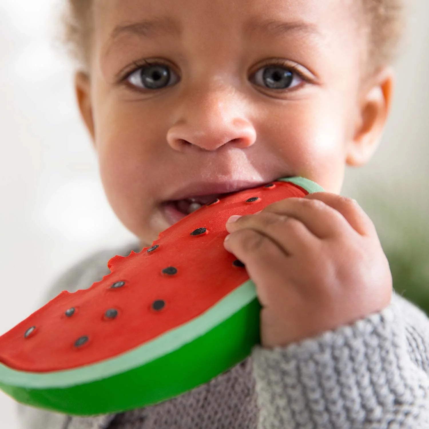 Wally die Wassermelone