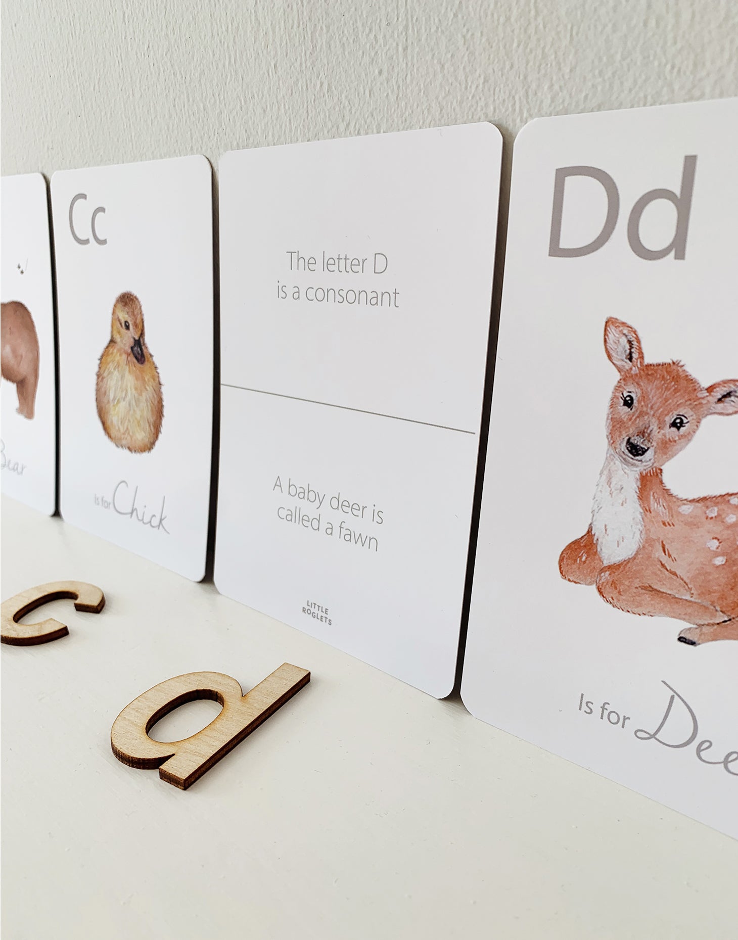 Alphabet Flashcards - Little Roglets